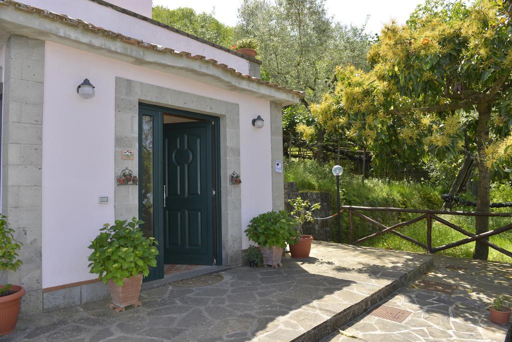 Il Casale Sorrento Ξενοδοχείο Εξωτερικό φωτογραφία