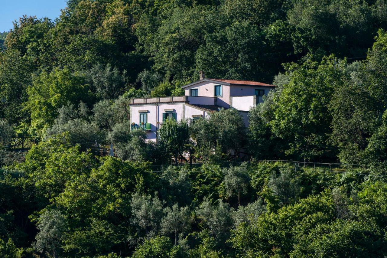 Il Casale Sorrento Ξενοδοχείο Εξωτερικό φωτογραφία
