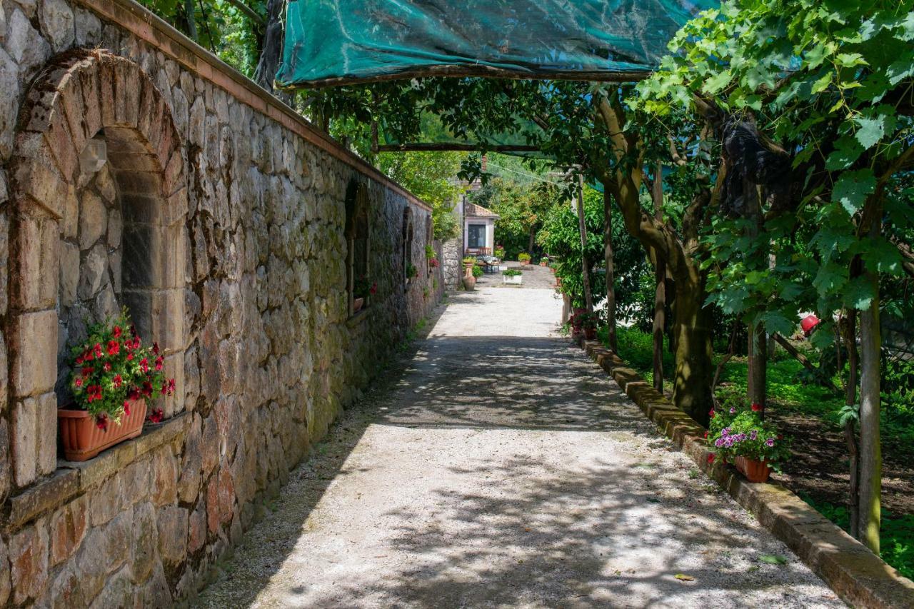 Il Casale Sorrento Ξενοδοχείο Εξωτερικό φωτογραφία